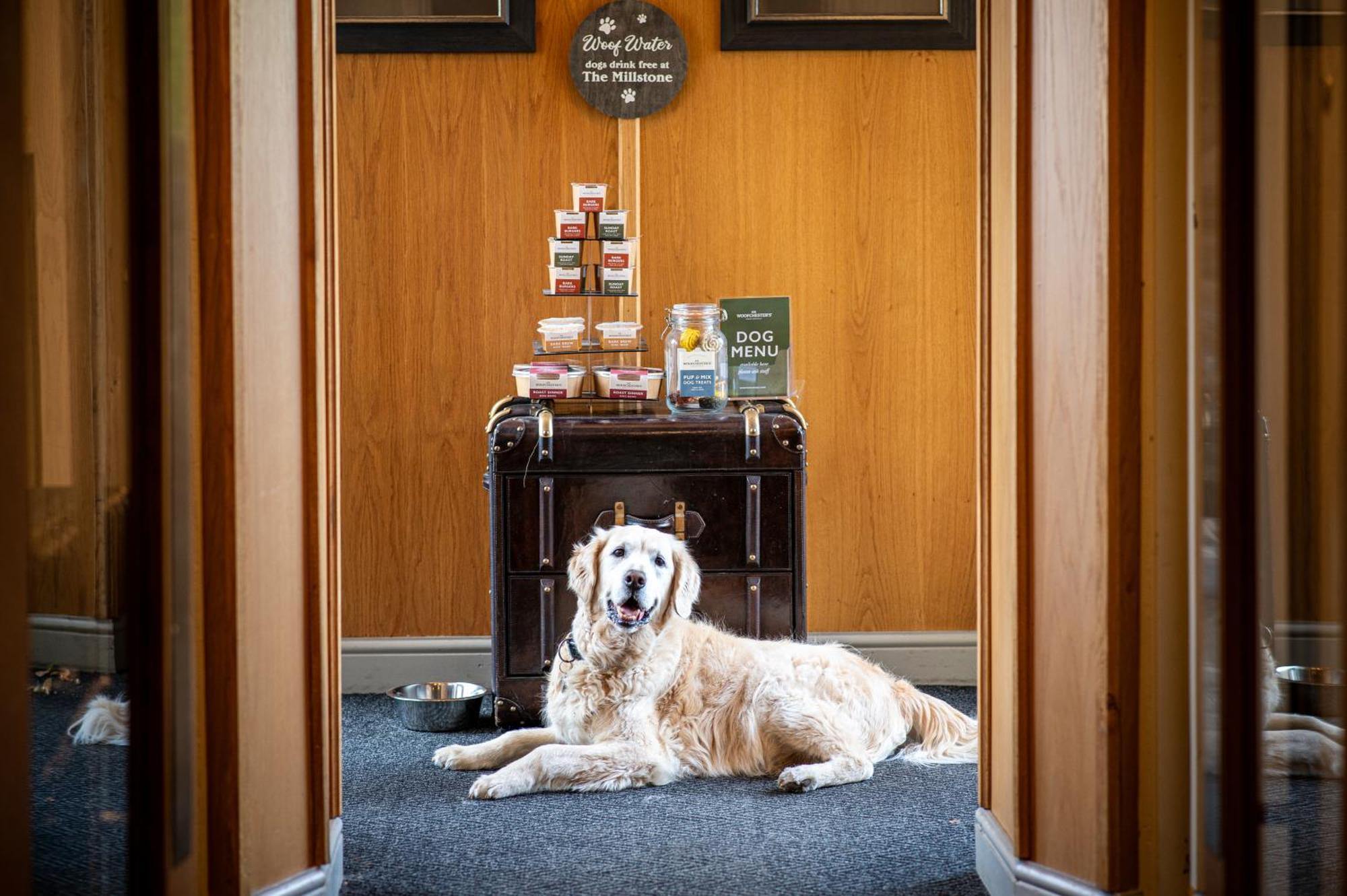 The Millstone, Mellor Otel Blackburn  Dış mekan fotoğraf The Dog Room